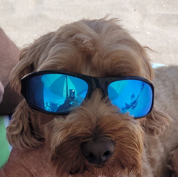 Like this listing to be notified when I go LIVE - Picture 5 of 11